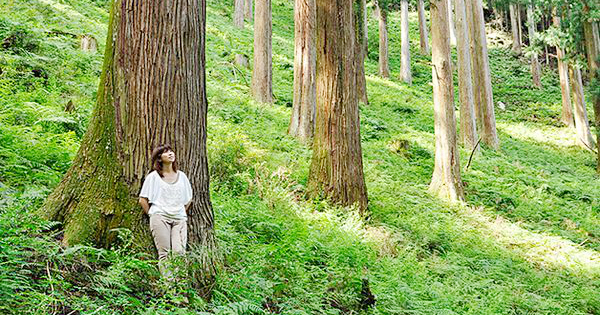 林】歴史と伝統を刻んだ吉野杉 （鎌田道隆） | 奈良のうまいものプラザ