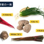 【12/27】“大和の伝統野菜”即売会