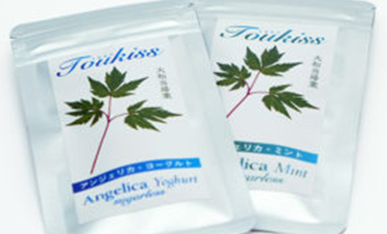 大和当帰　奈良県産　無農薬　９個　苗　まとめ売り　やまととうき お知らせ】大和当帰の苗の販売 お待たせしました！大和当帰の苗
